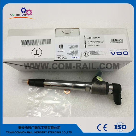 A2C59517051 Piezo injector assembly