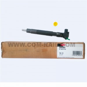Injector de combustible original DELPHI 28342997,EMBR00002D,28348371