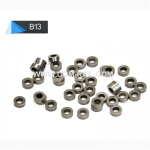 Bosch enjektör için B13 enjektör sacı 0445120002/007/008/018/032…..