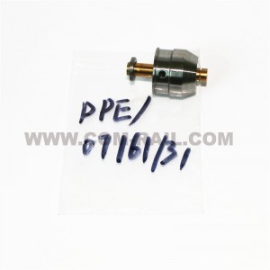 Factory Supply Hyundai Pump - DPE07161/31 pump plunger – Common