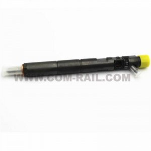 DELPHI Original-Einspritzventil EJBR05301D für Common-Rail-Injektor F50001112100011, EJBR06101D, R05301D, 06101D