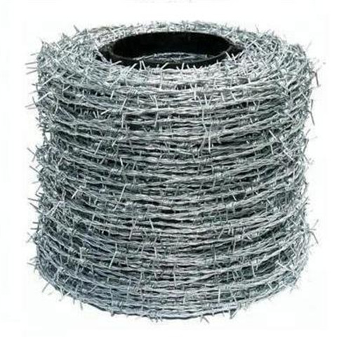 Hot-dipped Galvanized Ring Shank Roofing Nails