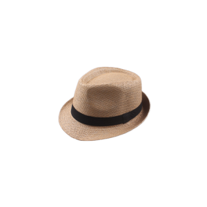 Custom Logo Printed Promotional Summer Cheap Beach Panama Straw Hat