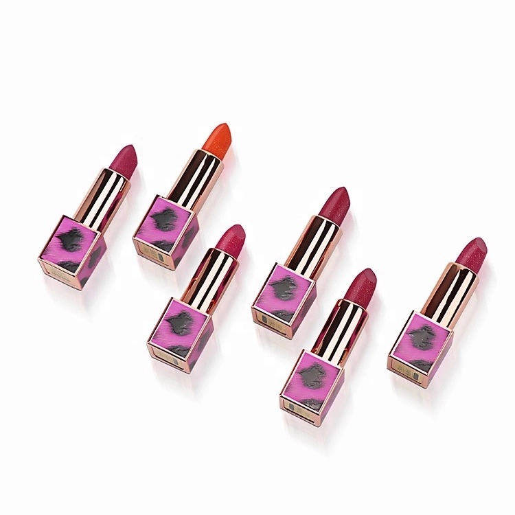Wholesale customize color cosmetics hot sale male lipstick lipstick case with mirror