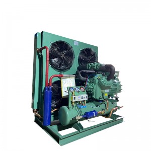 Two stage condensing unit for cold storage blast freezer