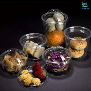 Disposable Plastic Food Container
