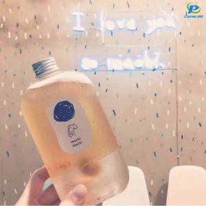 Ķīnas rūpnīca Ķīnai OEM ražotājs pārtikas kvalitātes reklāmas augļu infuser ūdens pudele āra plastmasai
