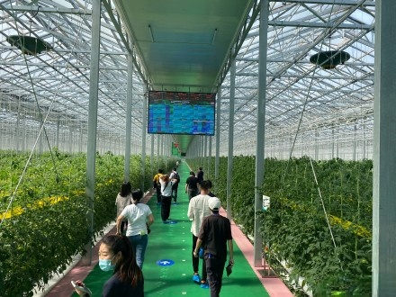Intelligent facility agriculture # Shouguang has a new model