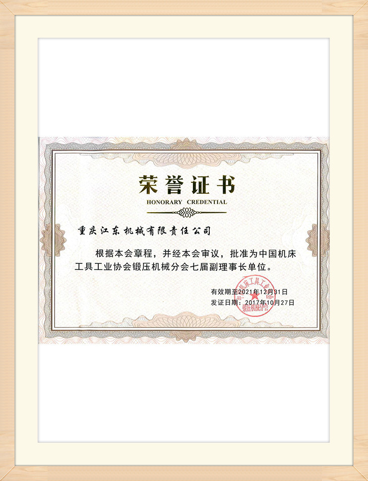 Certificate Display (21)