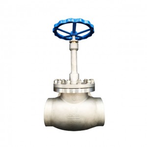 Cryogenic globe valve