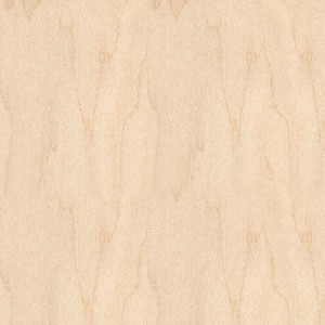 tovarniško najboljša kakovostna ruska polna brezova vezana plošča B/BB 100 % brezova vezana plošča