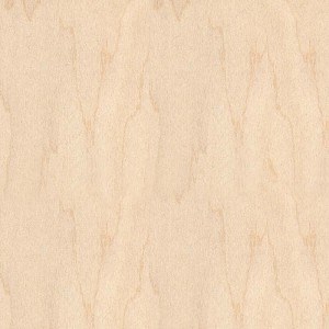 pabrik kualitas paling apik russian full birch plywood B/BB 100% birch plywood