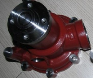 Diesel Engine Water Pump For 1013 2012 2013
