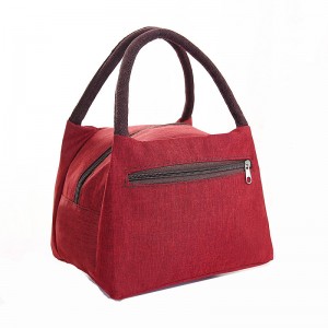 ODM Modern Cooler Bag isikhwama sepikiniki Design