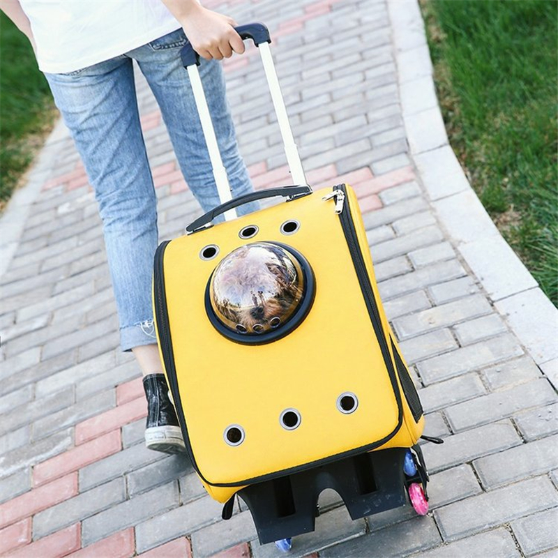 Cool Cat Trolley Bag ຖົງໝາ – FTR16