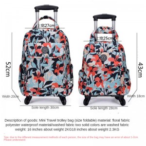 કસ્ટમ ટ્રાવેલ ટ્રોલી બેગ - FEIMA બેગ