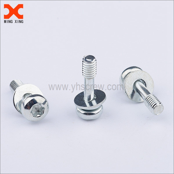 Torx pan head screw captive with flat washer and spring washer