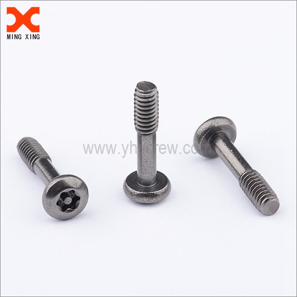 itom nga nickel stainless steel torx pin ulo screws manufacturer