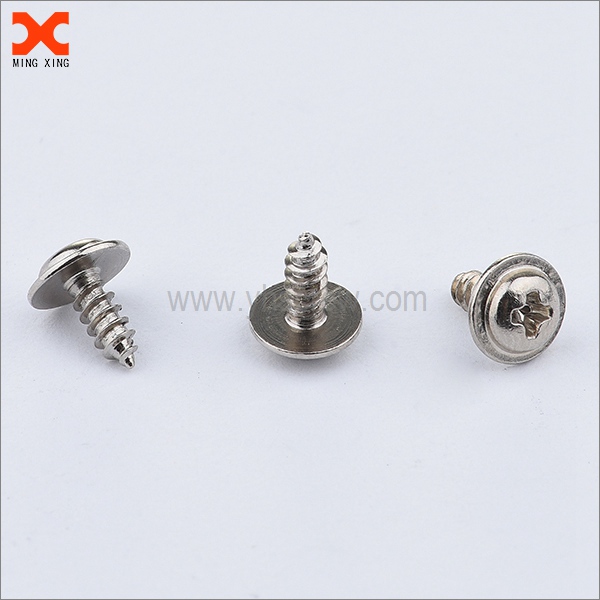 Phillips drive washer head ss self tapping screws moetsi