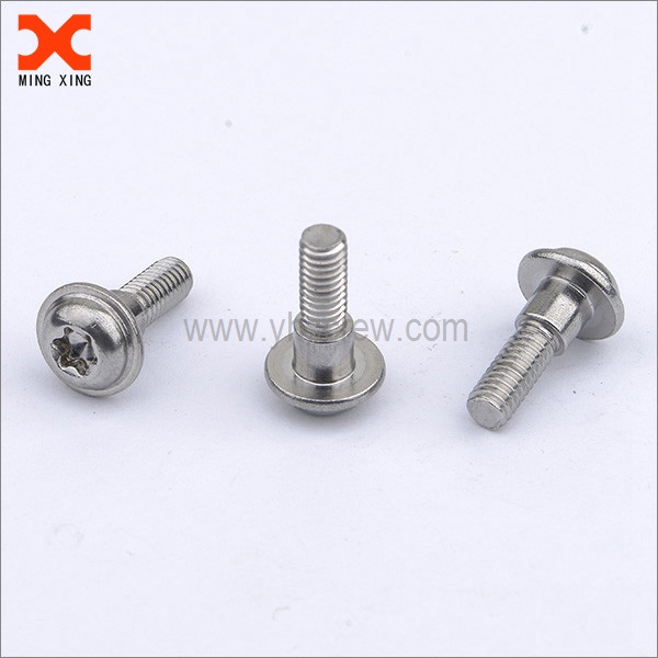 18-8 hindi kinakalawang na asero washer head torx drive screws supplier