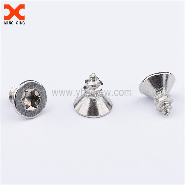 Small countersunk torx drive type A self tapping screw