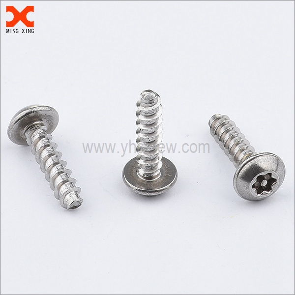 Espesyal na pin torx stainless security screws supplier