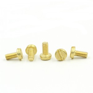 IBrass Slotted Cheese Head Screws M2 * 8mm M2 * 12mm