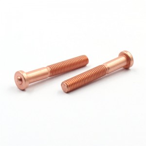 Lag luam wholesale nqe customized stainless hlau screws