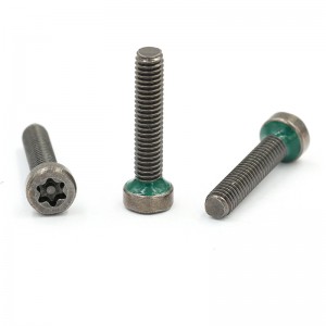Pin torx famehezana anti-tamper fiarovana screws