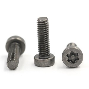 kaamanan custom anti maling screw stainless steel