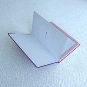Bilježnica za pisanje bilježnica od kraft papira