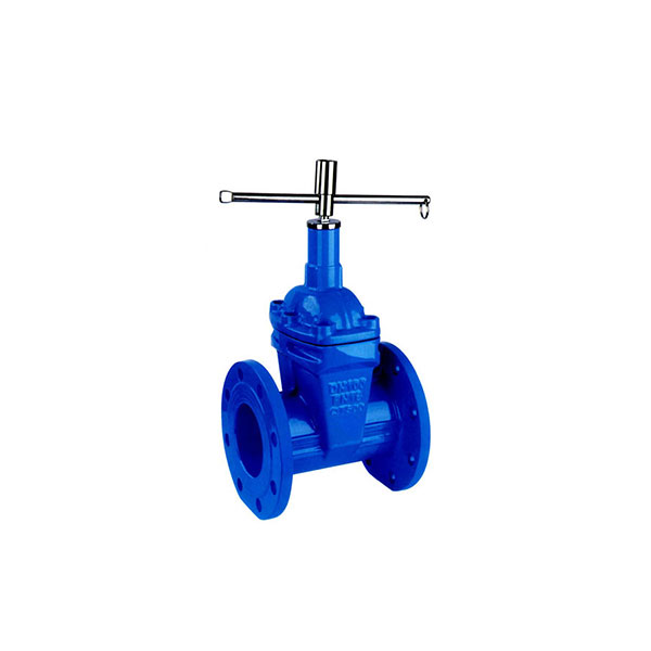 Gate Valves with Lock-Out Function