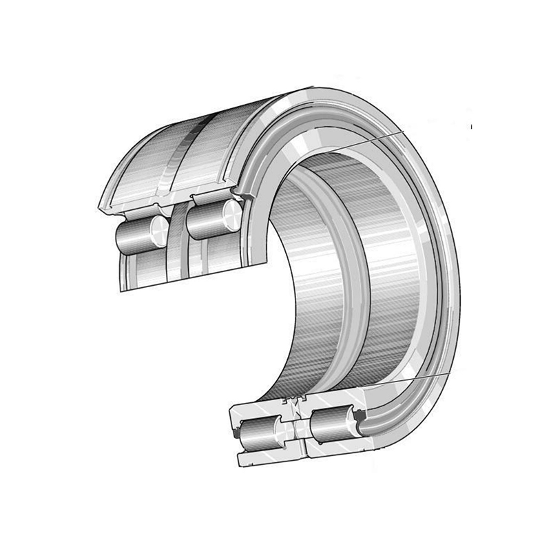 SL045010-PP Double row full complement bearings cylindrical roller bearings