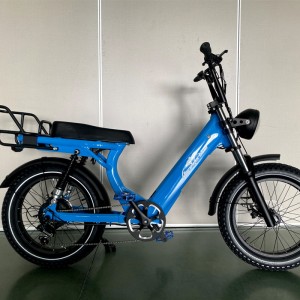 2205 350W-1000W 48V 13Ah/14Ah 35km/h Lithium Battery Electric Bike