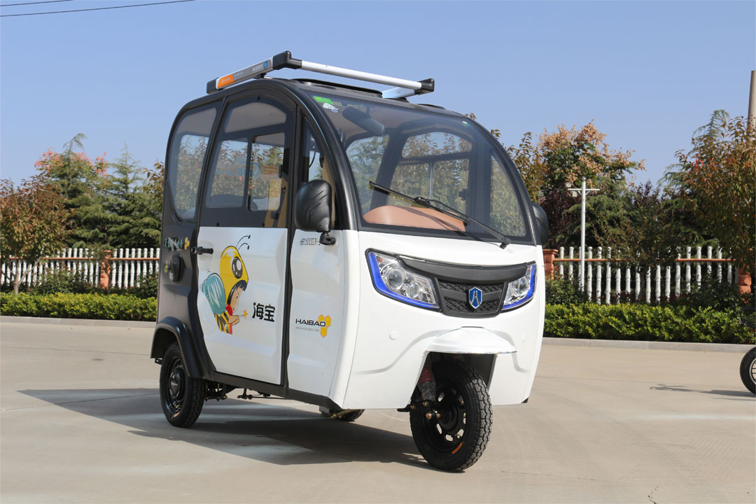 Inclusum Electric Tricycle: In Future Fossa consolatoria Travel