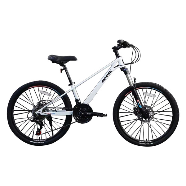 Высококачественный 24-дюймовый 21-скоростной велосипед для взрослых, горный велосипед (1)