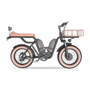 Z-3 1000W 48V 22Ah 52km/h Электрический велосипед с литиевой батареей с удлиненным сиденьем