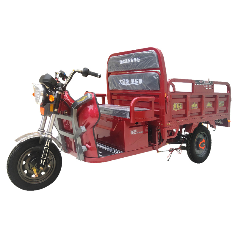 Triciclo eléctrico para adultos, motor de 500 W, neumático grueso de 20  pulgadas, triciclos de 48 V, batería extraíble de 48 V, bicicletas de tres