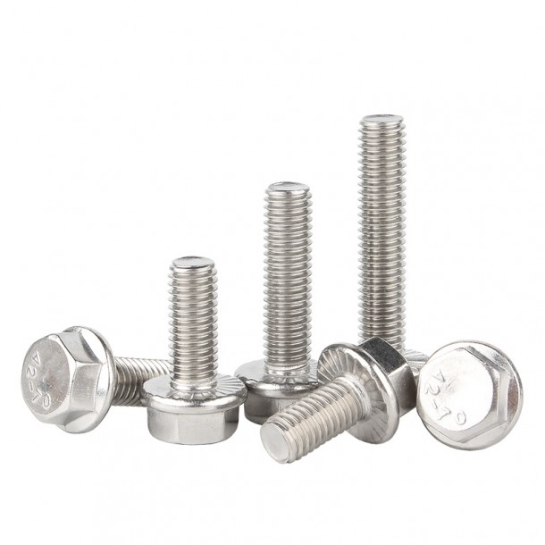 Stainless Steel A2 70 A4 80 Hex Flange Bolt DIN6921