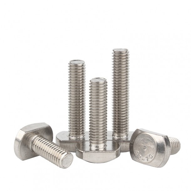 Stainless Steel A2 70 A4 80 T-Head Bolt T Blots