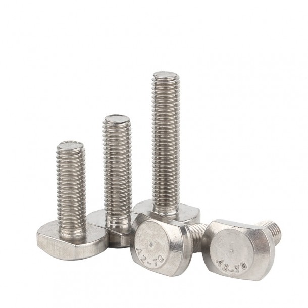 Stainless Steel A2 70 A4 80 T-Head Bolt T Blots