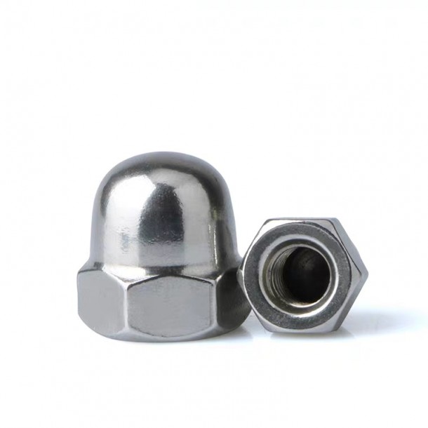 Carbon Steel/Stainless Steel Hexagon domed cap nut