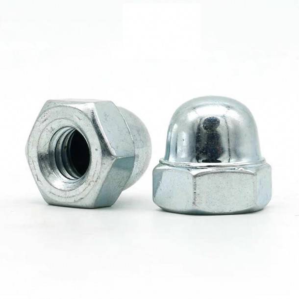 I-Carbon Steel/Stainless Steel Hexagon enekepisi le-cap nut