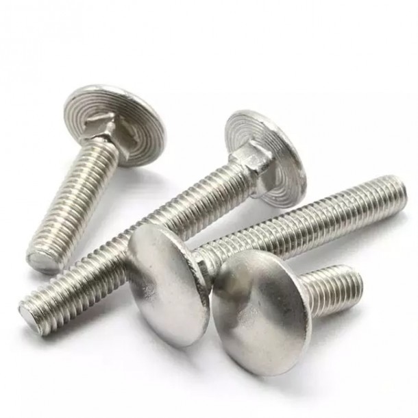 Stainless vy Carriage Bolt DIN 603