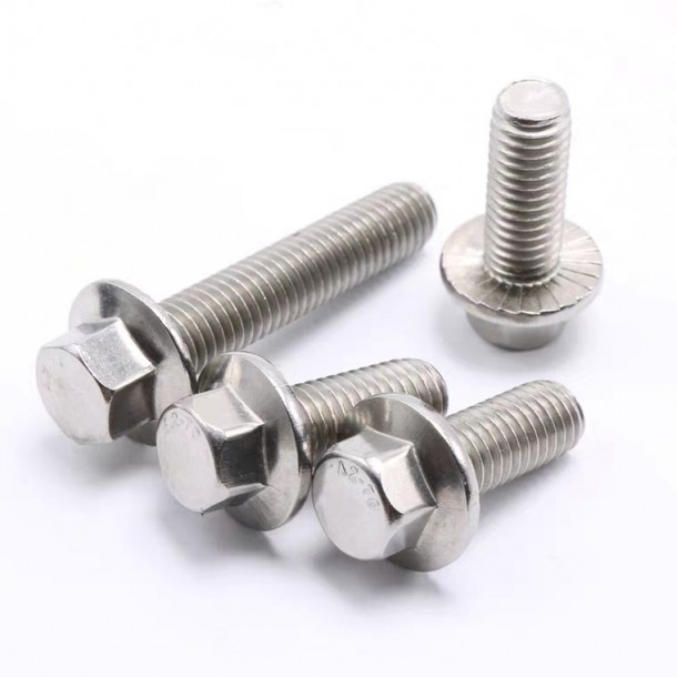 Stainless Steel Hex Flange ulo Bolt DIN 6921