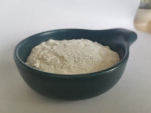 Lowest Price for Horticulture Diatomite - Diatomaceous earth functional filler – Yuantong