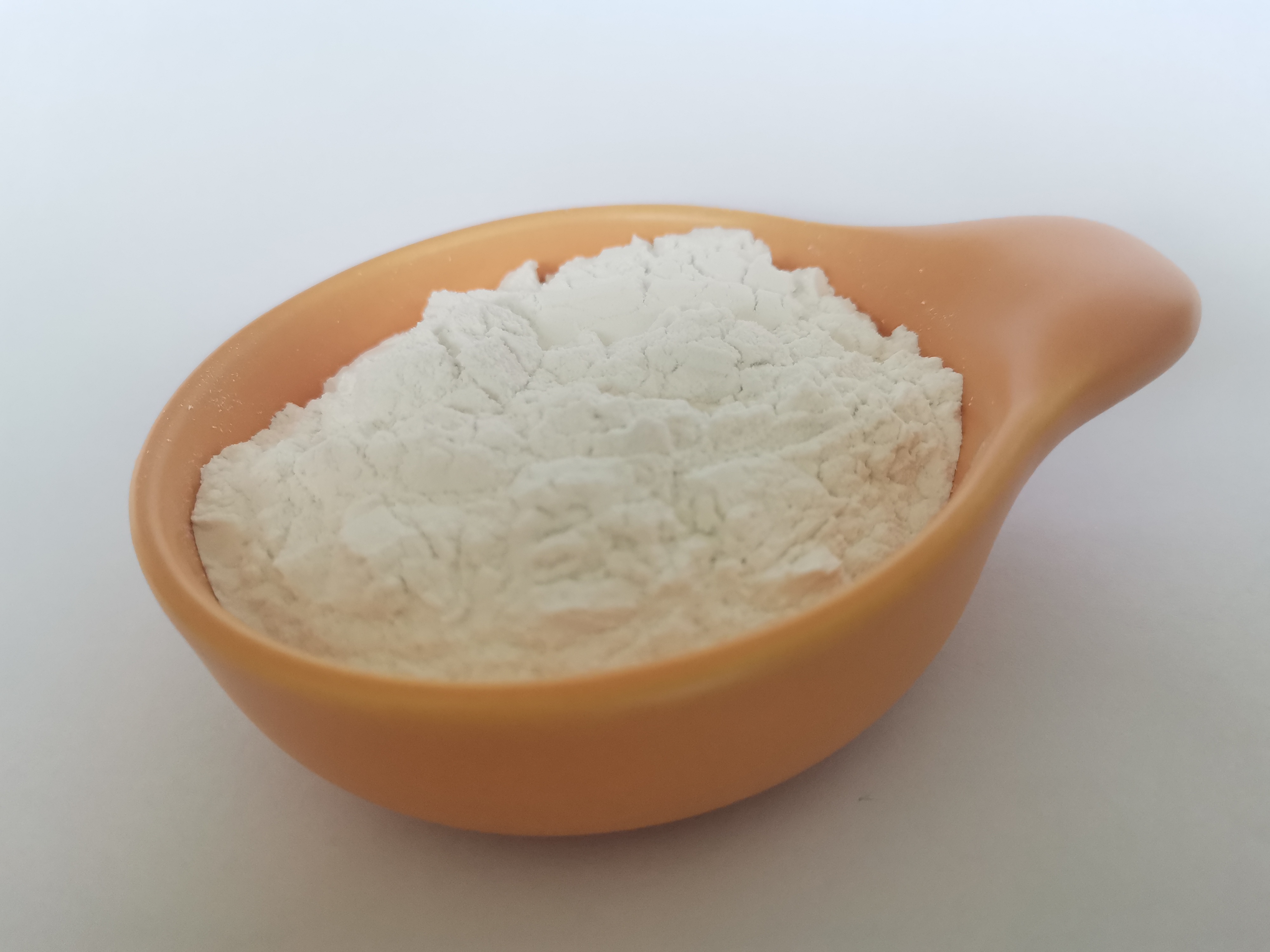 What Are the Benefits of Diatomaceous Earth?