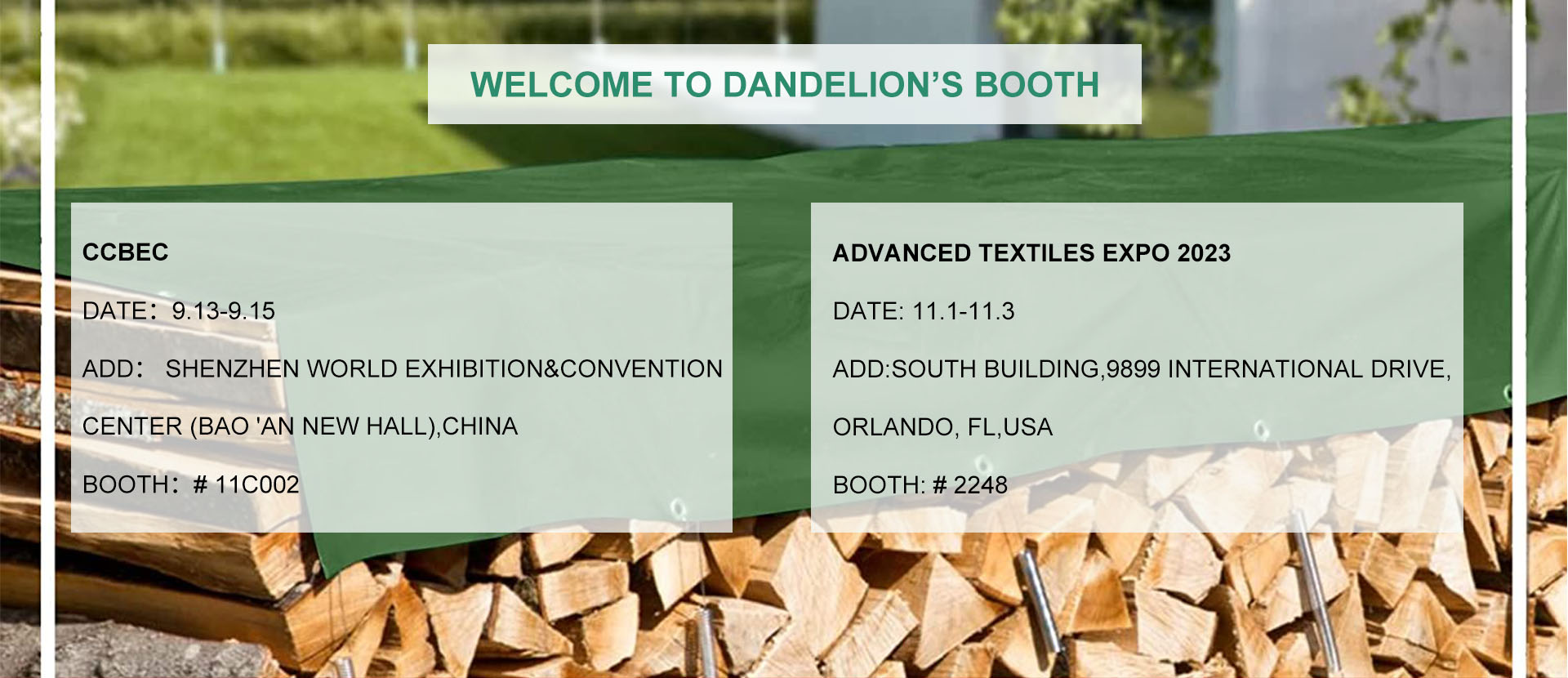 Dandelion's Exhibition Schedule Banner