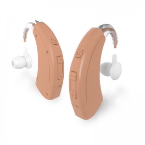 Portable Hearing Aid
