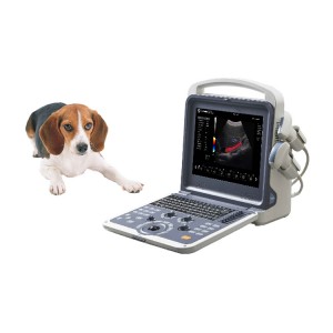 တိရစ္ဆာန်ဆေးကု ရောင်စုံ Doppler Ultrasound Scanner (K2VET)